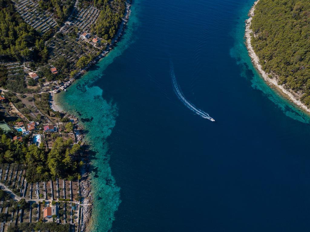 Villa Goga Vela Luka Extérieur photo
